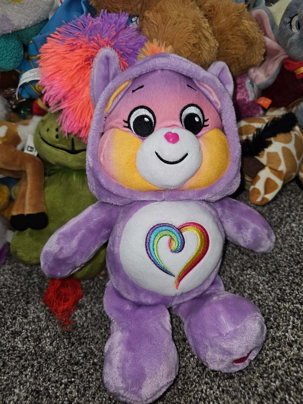 Care Bears Togetherness Bear Hoodie Friends Plush 13"